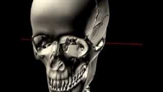 The Skull in Motion  Atlas and Occiput [upl. by Eniron]