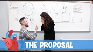 Ninja Nerd Science  The Proposal [upl. by Alyakcim]