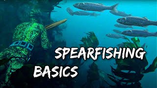 SPEARFISHING FOR BEGINNERS  Shore Diving Edition [upl. by Salema]