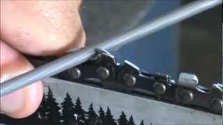 How to sharpen a chainsaw [upl. by Hsirahc]