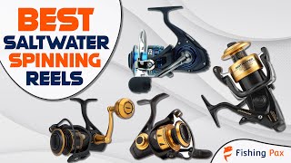 7 Best Saltwater Spinning Reels [upl. by Bertina579]