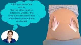 Abdominal Palpation Tutorial for Student Midwives [upl. by Vicky216]