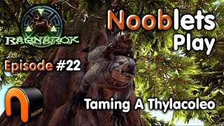 ARK  HOW TO TAME A THYLACOLEO  Episode 22 Ragnarok Lets Play [upl. by Ydnec775]