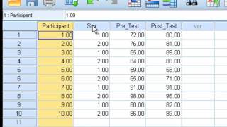 Paired Sample ttest [upl. by Neitsabes]