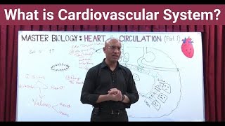 What is Cardiovascular System  Circulatory System  Biology  NEET  GCSE [upl. by Gerk128]