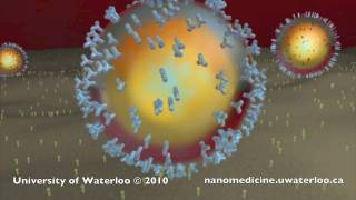 Nanotechnology for Targeted Cancer Therapy [upl. by Uta]