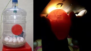 Egg Candling  Candling Chicken Eggs [upl. by Aryhs]