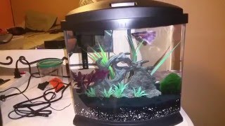 Aqueon betta bow 25 LED review [upl. by Asikal]