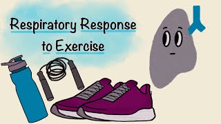 Respiratory Response To Exercise  Respiratory Physiology [upl. by Schwerin]