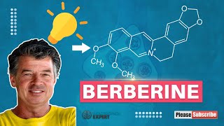 Berberine  updated [upl. by Trab]