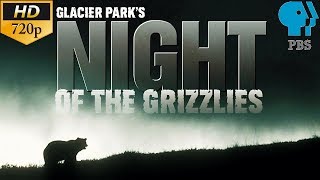 Glacier Parks Night of the Grizzlies  PBS Documentary ⁷²⁰ᵖ [upl. by Latsyrc253]