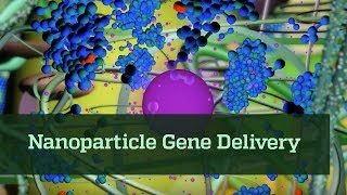 Nanoparticle Gene Delivery [upl. by Edrahc]