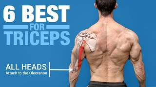 6 BEST Triceps Exercises ANATOMY BASED [upl. by Nitin]