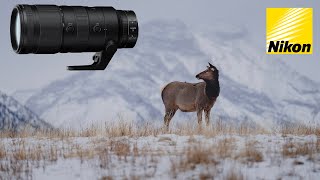 Nikon NIKKOR Z 70200mm F28 VR S Review  Sample Photos and Videos [upl. by Haceber]