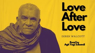 Love after love by Derek Walcott [upl. by Hopkins233]