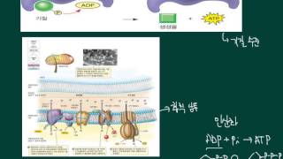 66 고급 생물학  해당과정 [upl. by Elodea]