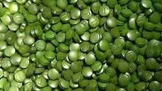 The Wonders of Chlorella [upl. by Ecart112]