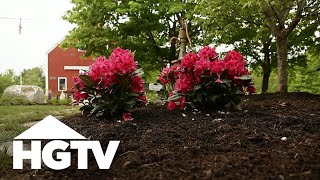 All About Azaleas  Gardening Tips  HGTV [upl. by Sadella729]