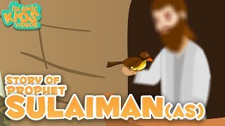 Prophet Stories In English  Prophet Sulaiman AS Story Stories Of The Prophets  Quran Stories [upl. by Kella152]