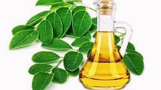 How to Extract Oil from Malunggay Moringa Leaves at Home  Uses amp Benefits [upl. by Tarrel]