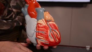 Preparing for your Cardiac Catherization Procedure [upl. by Acinoryt]