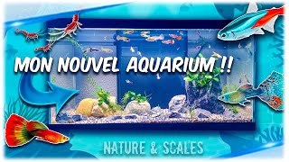 MON AQUARIUM DEAU DOUCE [upl. by Knight]