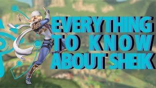 【Everything to know about Sheik】  A SSBU Character Guide [upl. by Melquist]