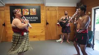 Traditional Maori Cultural Performance at Whakarewarewa  The Living Maori Village [upl. by Eimas]