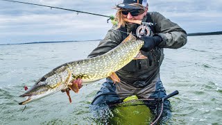 FLIEGENFISCHEN auf HECHT 1 Hechtfliegenfischen auf Rügen [upl. by Okeim]