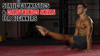 Static Gymnastics amp Calisthenics Skills for Beginners [upl. by Hannahs]