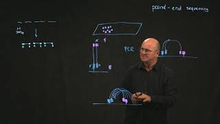 illumina paired end sequencing [upl. by Namzaj]