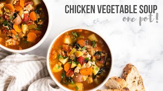 Chicken Vegetable Soup  easy and healthy  The Recipe Rebel [upl. by Venditti683]