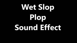 Wet Slop Plop Sound Effect [upl. by Nnep]