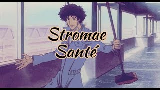 Stromae  Santé  Slowed amp Reverb [upl. by Boni618]