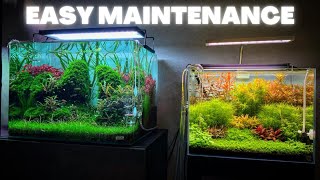 AQUARIUM MAINTENANCE FOR BEGINNERS  QUICK AND SIMPLE [upl. by Godliman326]