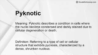 Pyknotic Meaning [upl. by Ardnassela]