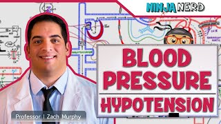 Cardiovascular  Blood Pressure Regulation  Hypotension [upl. by Halbert965]