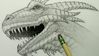 How to Draw a Dragon Head [upl. by Nylireg]