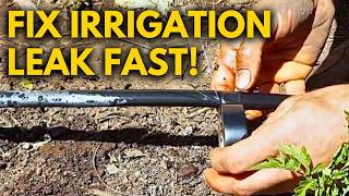 Fix Drip Irrigation Leak in Seconds WITH ONLY THIS [upl. by Frayne]