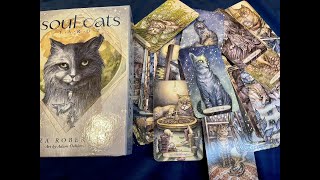 Soul Cats Tarot  4K Flipthrough [upl. by Armbrecht854]