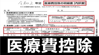 【申請すれば、税金が安くなる】医療費控除の明細書の書き方・確定申告の医療費控除を解説。 [upl. by Wenonah919]