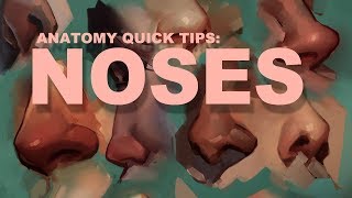 Anatomy Quick Tips Noses [upl. by Putnam]