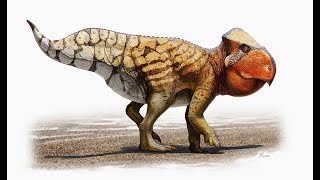 Udanoceratops An Abnormally Large Hornless Ceratopsian From Late Cretaceous Mongolia [upl. by Haggi]