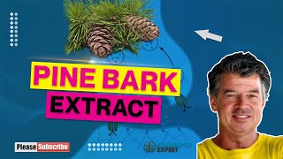 Pine Bark Extract [upl. by Rachele]