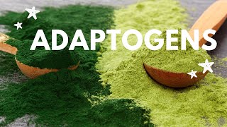 ADAPTOGENS EXPLAINED IN UNDER 10 MINUTES [upl. by Rehpotsirahc]