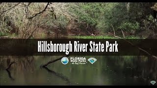 Firsthand Florida Fun Hillsborough River State Park [upl. by Ennovyhc321]