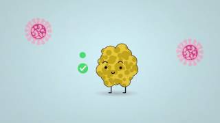 Science in 1 minute what are lichens [upl. by Fruma958]