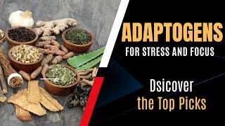 Adaptogens for stress and focus [upl. by Nahtanaoj]