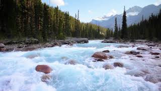 Amazing Turquoise Mountain River Gentle River Nature Sounds White Noise for Sleeping Relaxation [upl. by Lindsey]