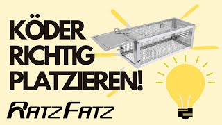 Köder in Mausefalle Lebendfalle platzieren  Ratzfatz [upl. by Yngiram680]